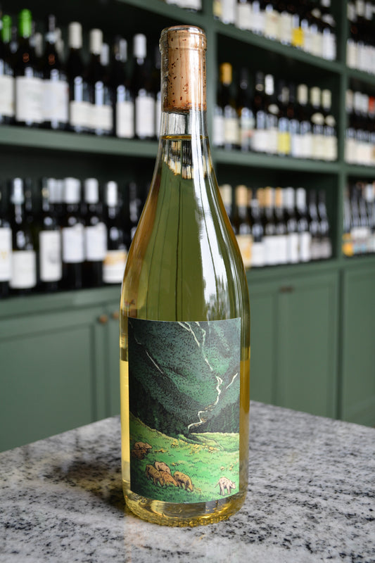 Kelley Fox Gruner Veltliner (2023) Willamette, Oregon