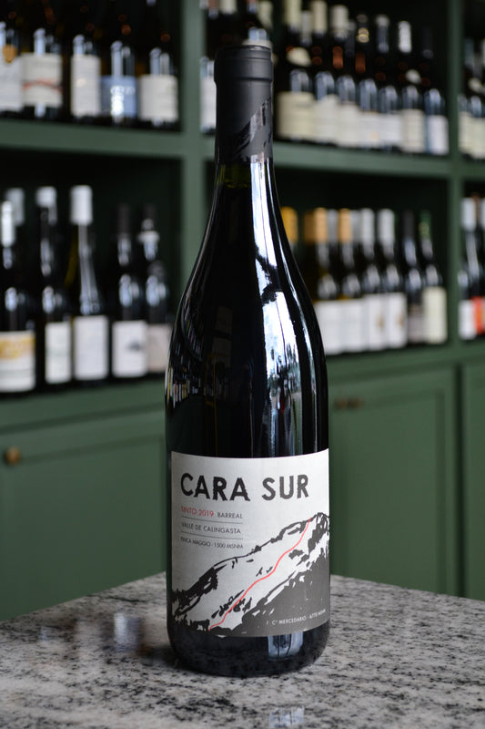 Cara Sur Tinto (2019) Calingasta Valley, Argentina